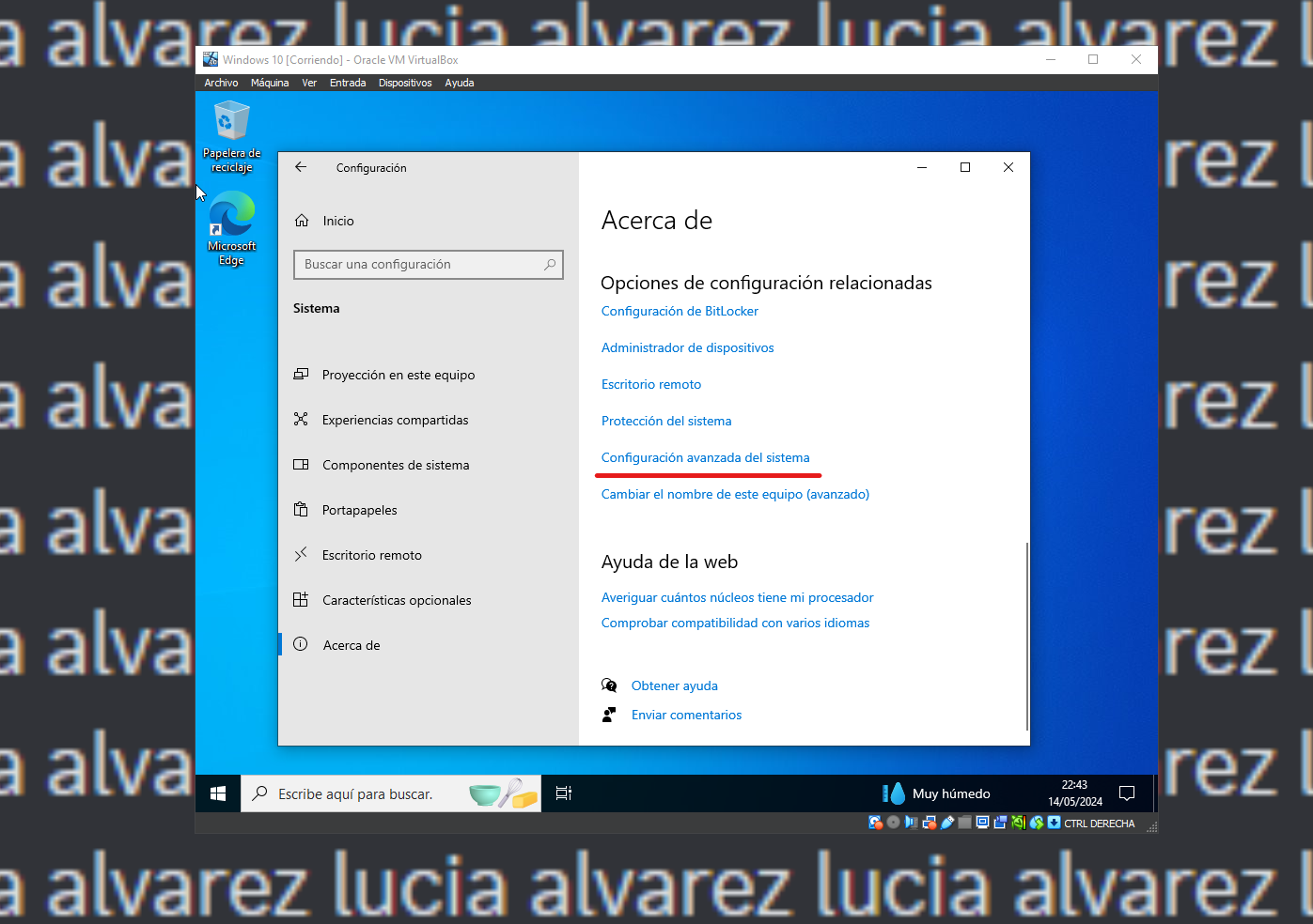 windows-11