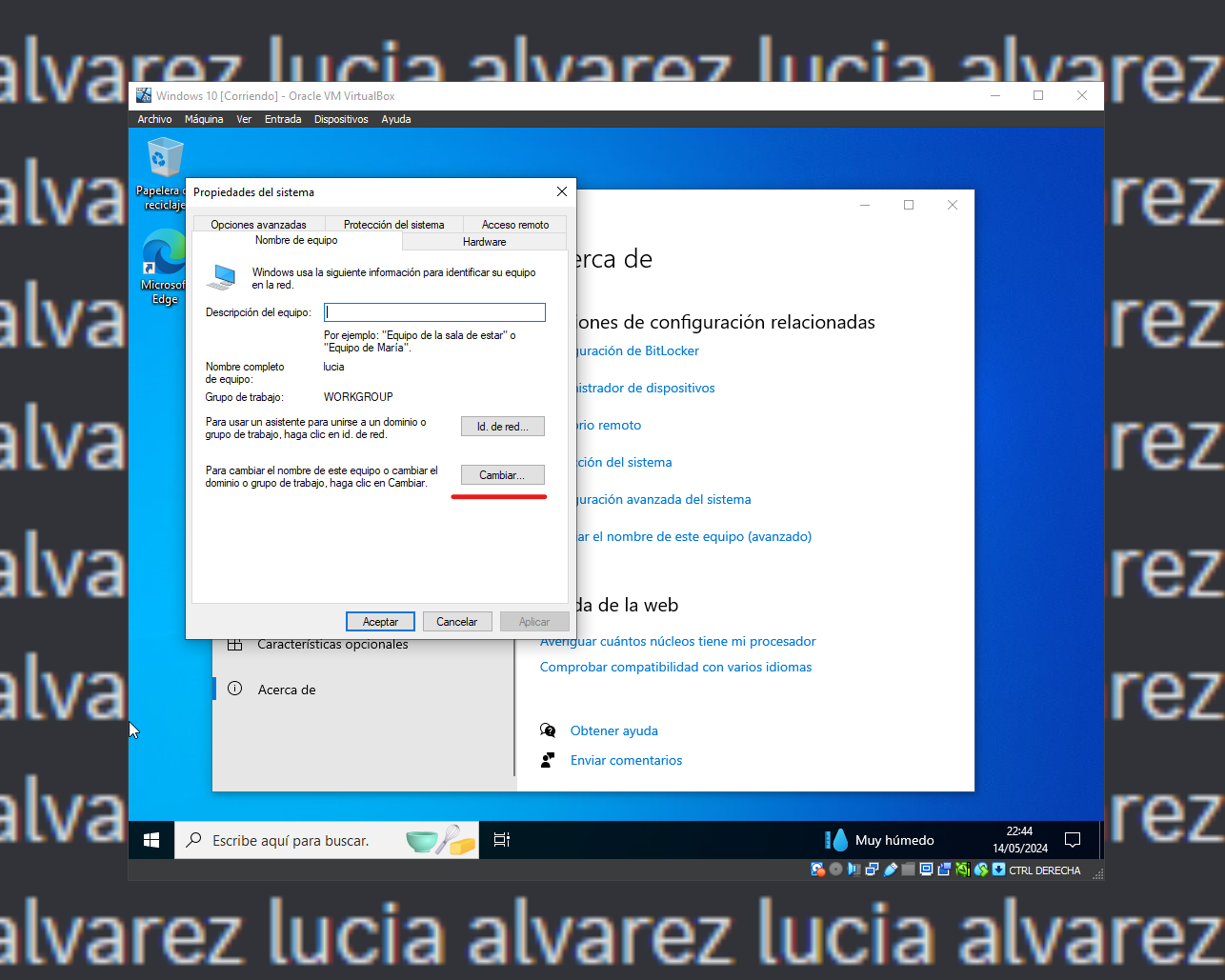 windows-11