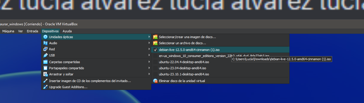 windows-11